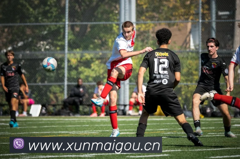 mksports官方网站平台生态图